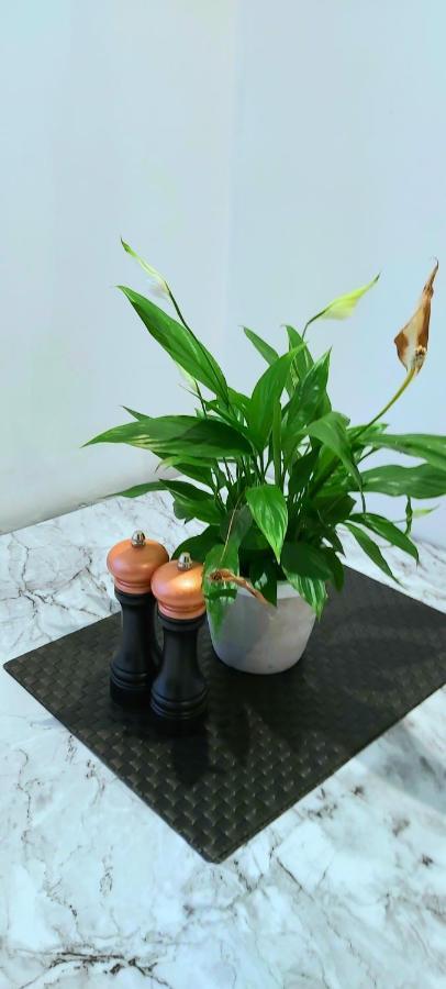 Great Studio Apartments - Netflix, Wifi, Digital Tv 谢菲尔德 外观 照片